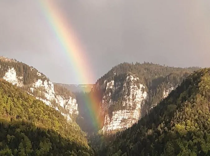 Tiny De L'aigle Villeret