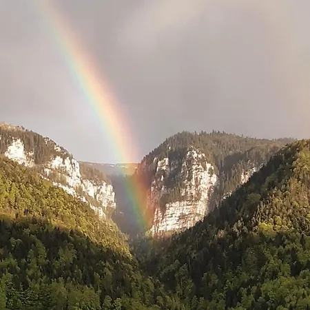 Tiny De L'aigle Villeret